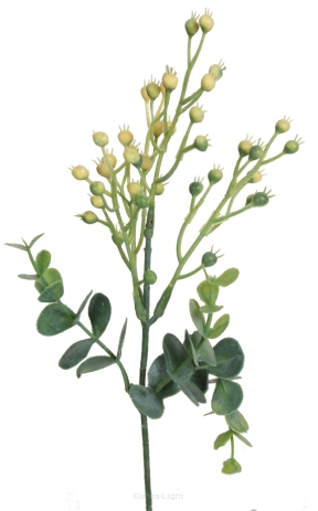 Eukaliptus kwitnący KDGC575 36cm