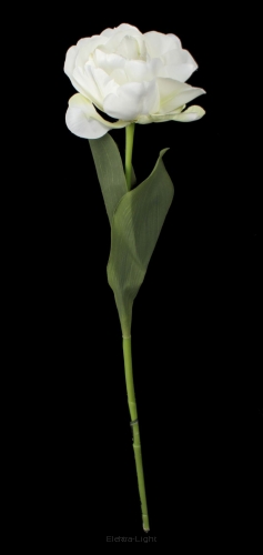 Tulipan na łodydze CV21438 58cm