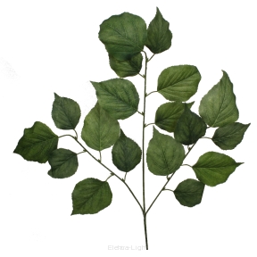 Liść lipy potrójny matowy zielony SP010 78cm
