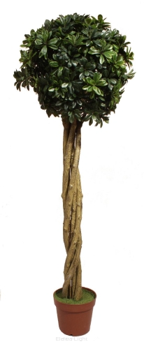 Drzewko sztuczne Szeflera kulka 150cm KDG2950