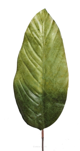 Liść DY1-1871 40cm