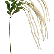 Amaranthus gałązka (Szarłat) CV11293 95cm