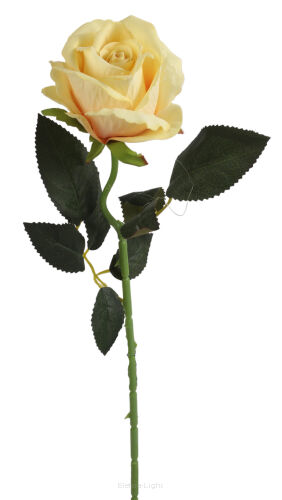 Róża na łodydze DYTD-005 / SHTA-007 50cm OSTATNIE SZTUKI