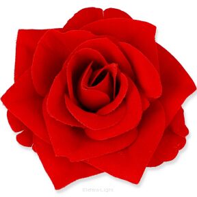 Róża SCARLET WELUR RED 8cm FME074368