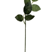 Łodyga do róży KDGE503 69cm