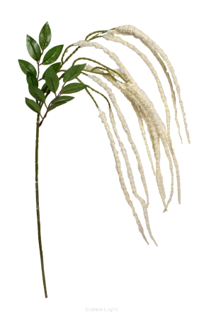 Amaranthus gałązka (Szarłat) CV11293 95cm 